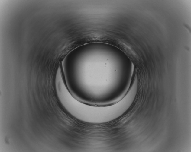 X0000096450509200801311454