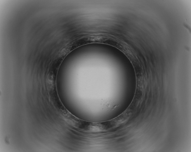 X0000096450510200801311454