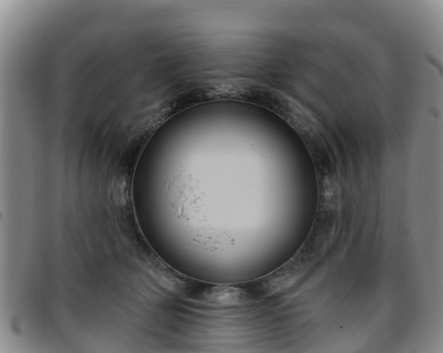 X0000096450514200801311453