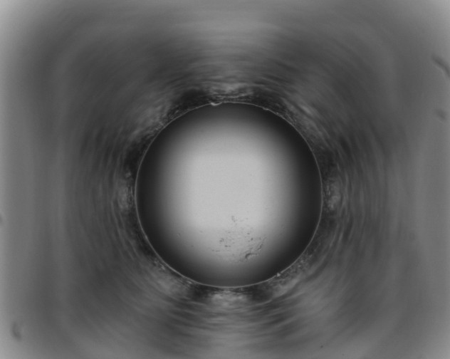 X0000096450515200801311453