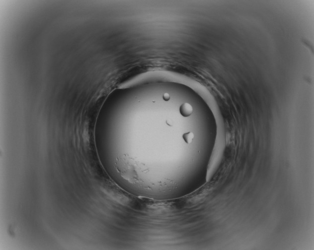 X0000096450516200801311453