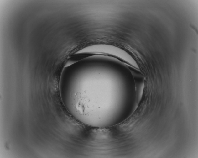 X0000096450517200801311453