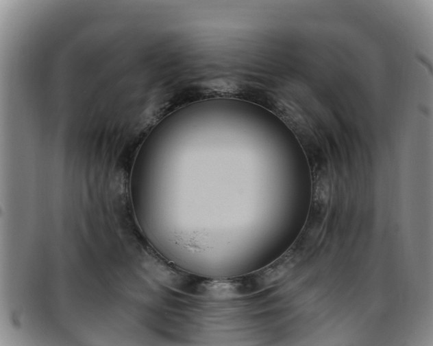 X0000096450518200801311453