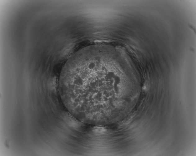 X0000096450519200801311453