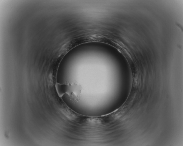 X0000096450520200801311453