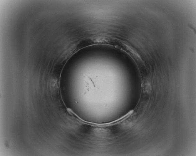 X0000096450521200801311453