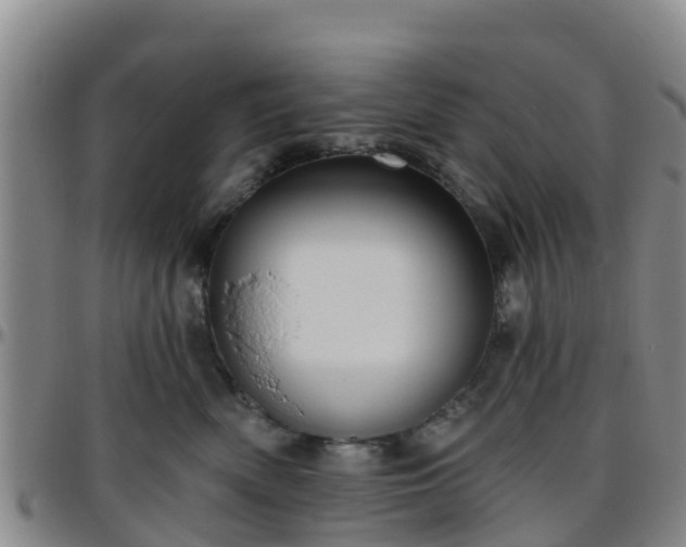 X0000096450522200801311453