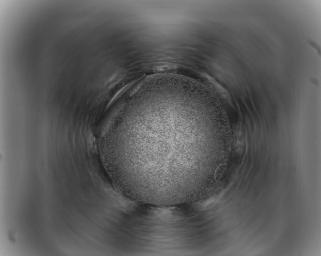 X0000096450523200801311453