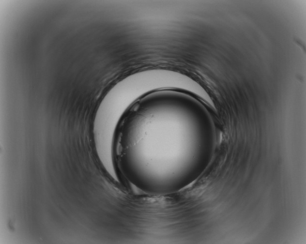 X0000096450524200801311453