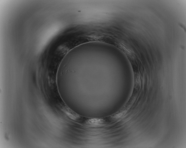 X0000096450526200801311453