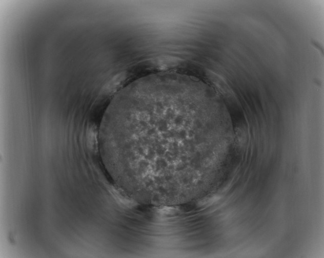 X0000096450527200801311453