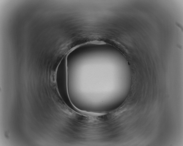 X0000096450528200801311453