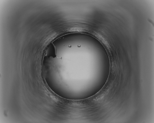 X0000096450529200801311453