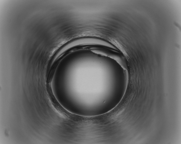 X0000096450530200801311453