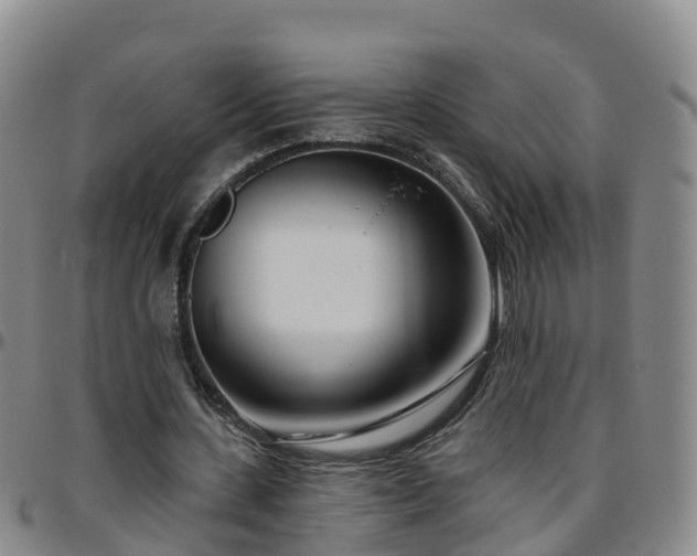 X0000096450531200801311453