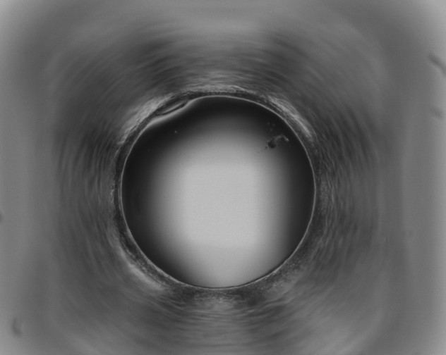 X0000096450533200801311453