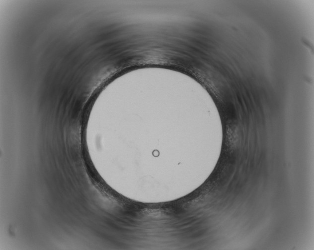 X0000096450534200801311453