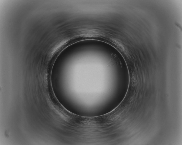 X0000096450535200801311453