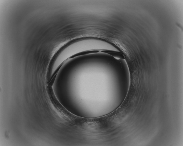 X0000096450536200801311453