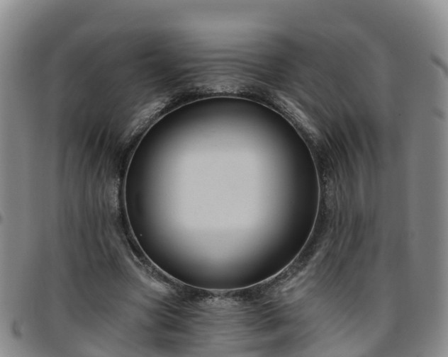 X0000096450537200801311453