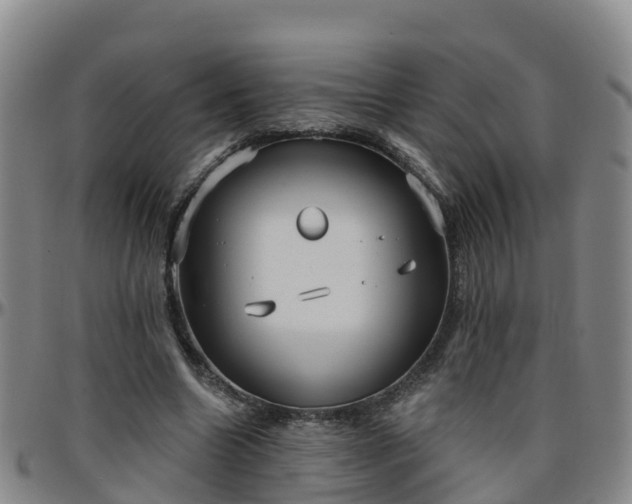 X0000096450538200801311453