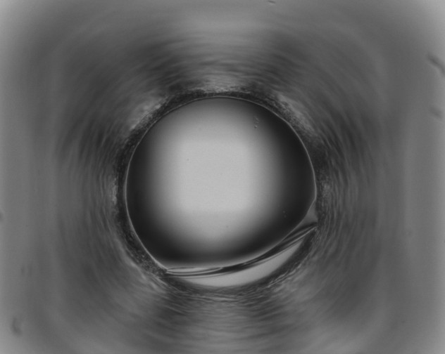 X0000096450539200801311453