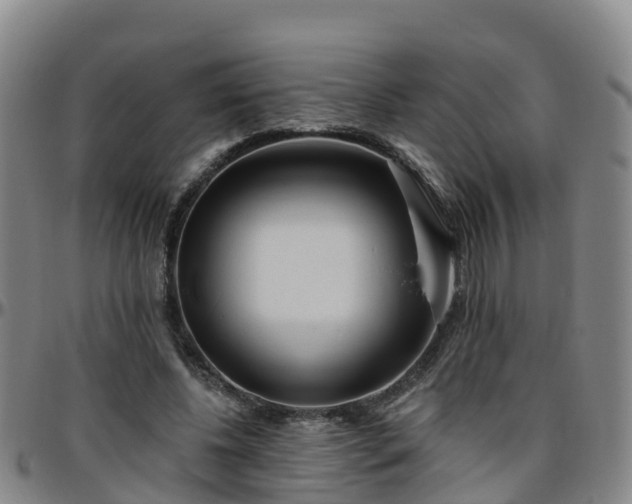 X0000096450540200801311453