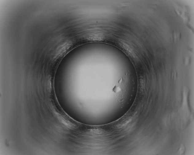 X0000096450541200801311453