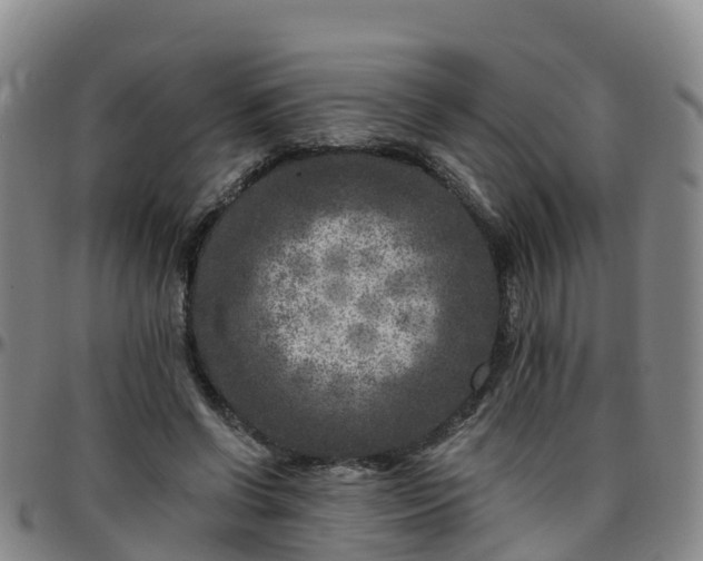 X0000096450542200801311453