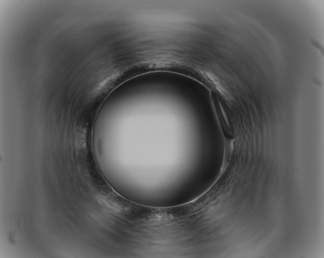 X0000096450543200801311453