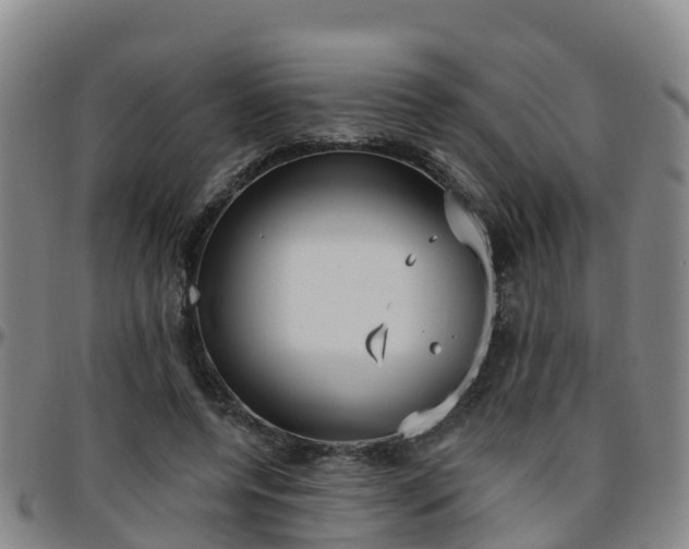 X0000096450544200801311453