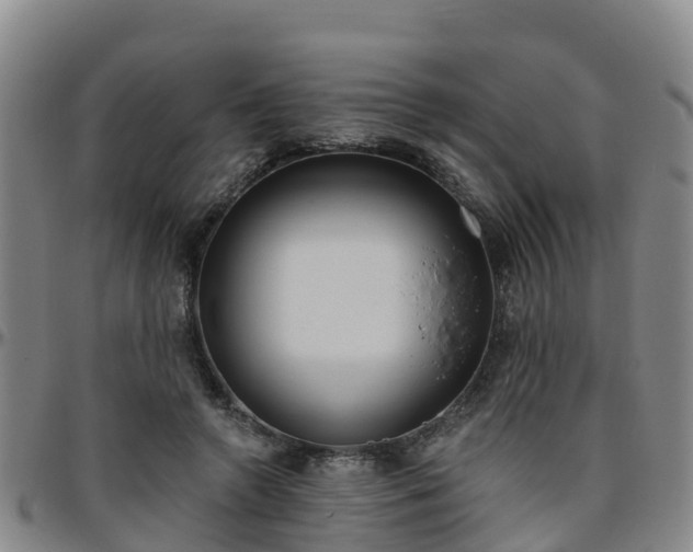 X0000096450546200801311453