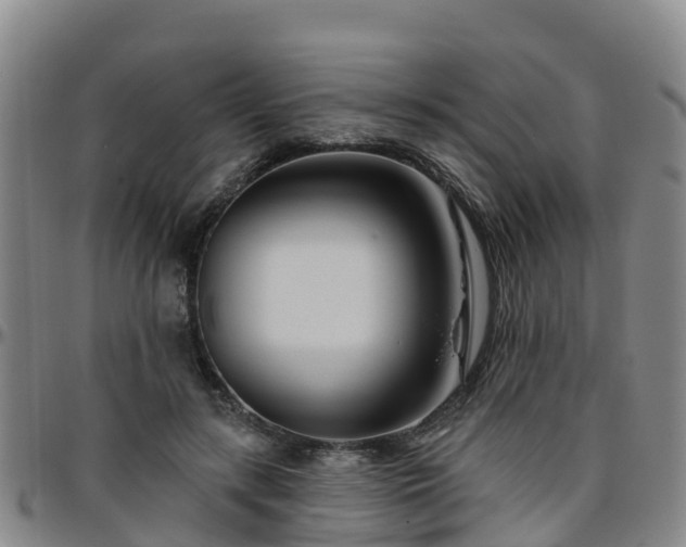 X0000096450547200801311453