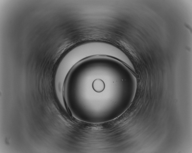 X0000096450548200801311453