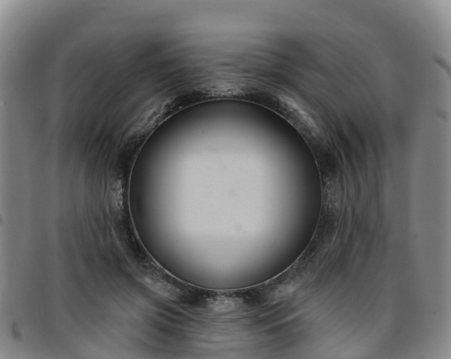 X0000096450549200801311453