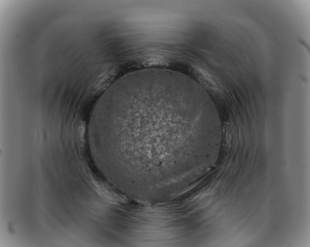 X0000096450550200801311453