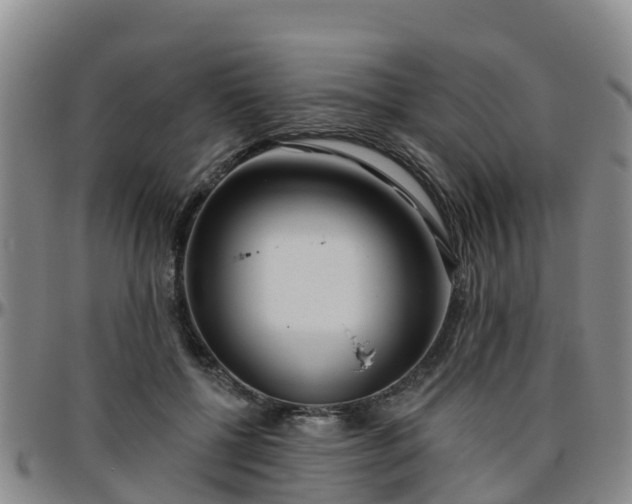 X0000096450552200801311453