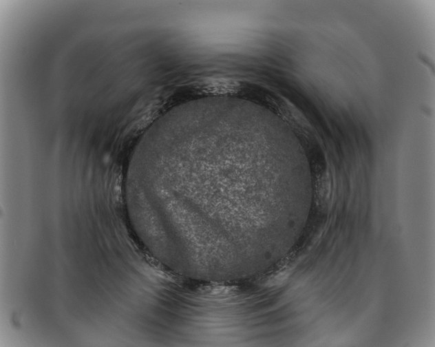 X0000096450553200801311453