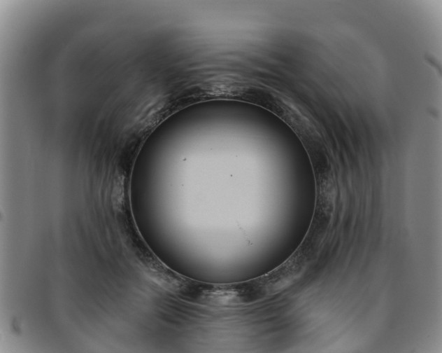 X0000096450554200801311453