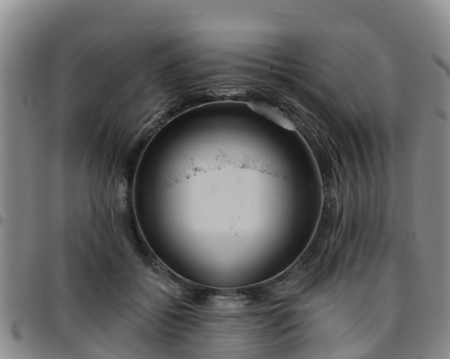 X0000096450556200801311453