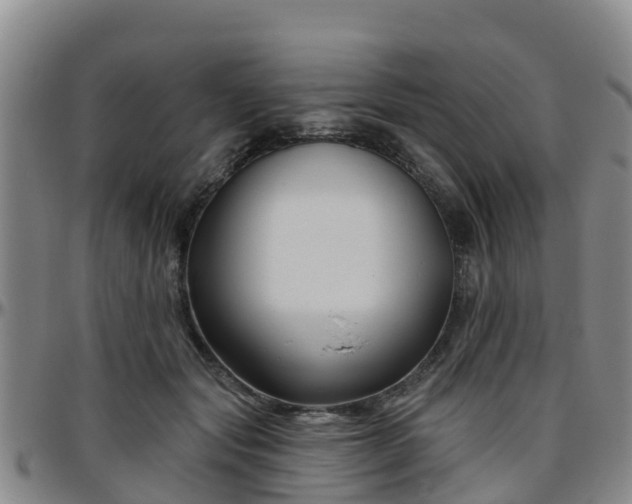 X0000096450557200801311453