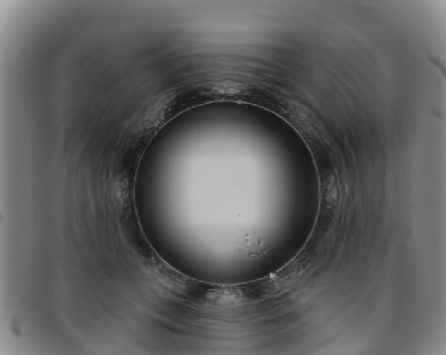 X0000096450559200801311453