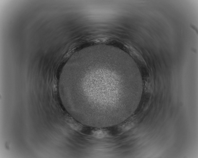 X0000096450561200801311453