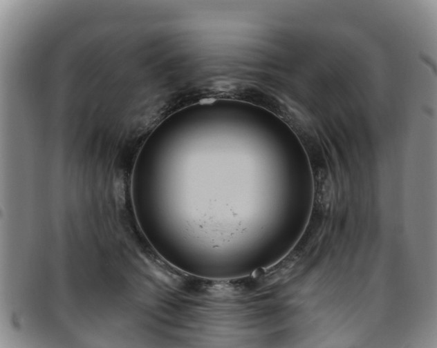 X0000096450562200801311453