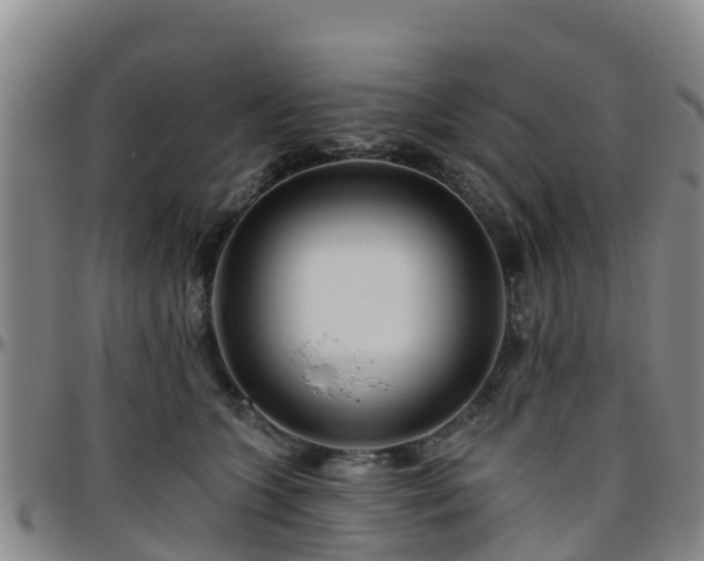 X0000096450563200801311453