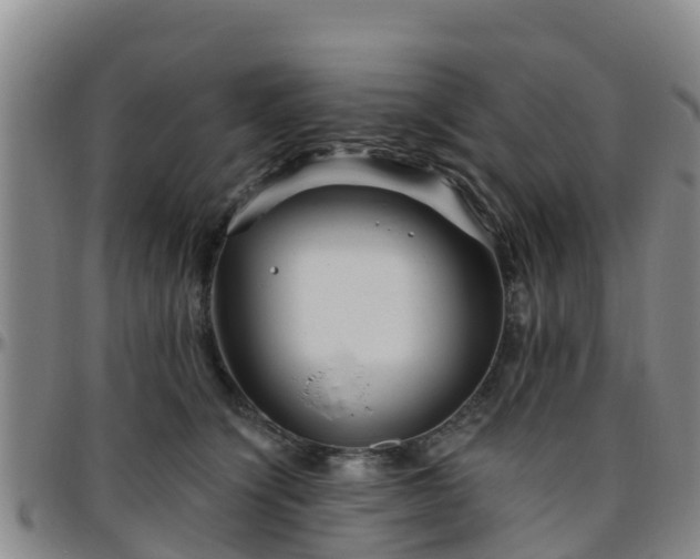 X0000096450564200801311453