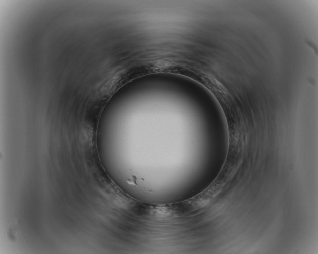 X0000096450565200801311453