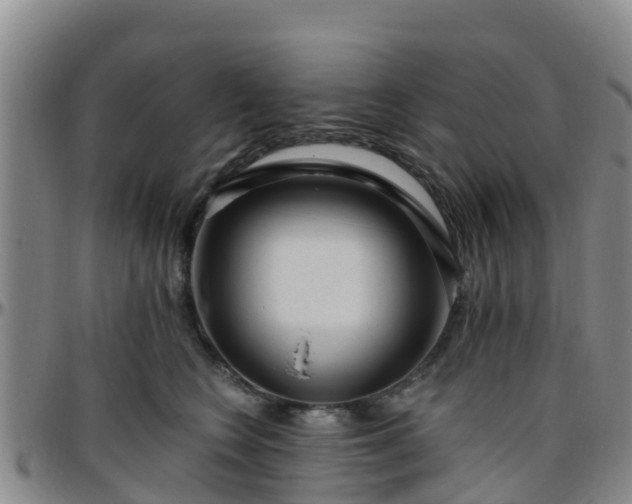 X0000096450566200801311453