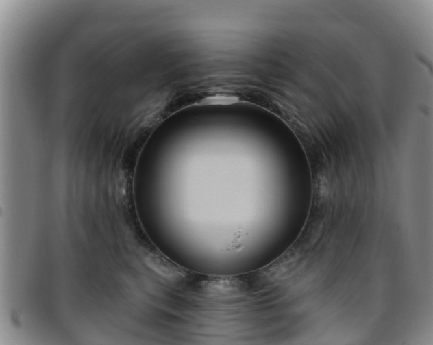 X0000096450567200801311453