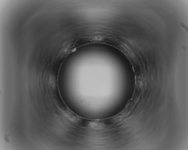 X0000096450568200801311453